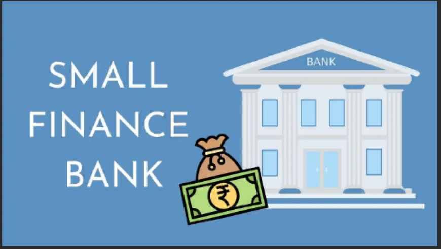 Microfinance makes up only a small part of the US economy, but for loan recipients, it's profound